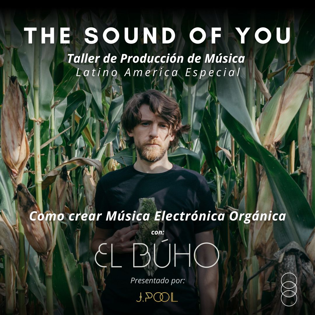 The Sound of You (Latino America Especial): Como crear Música Electrónica Orgánica con El Búho